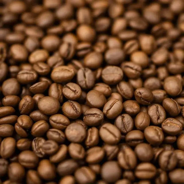 Close-up on freshly roasted coffee beans.